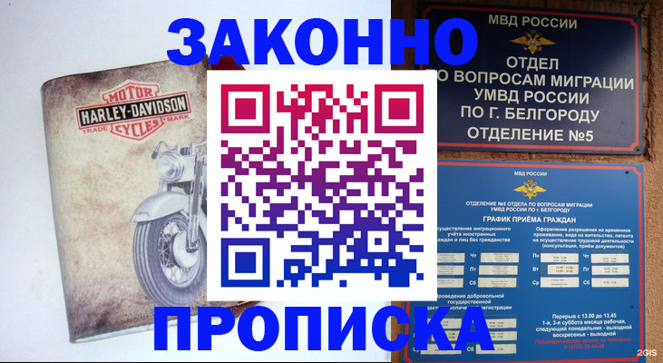 прописка для школы в Цивильске